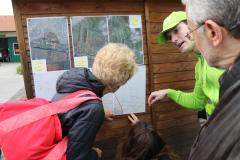 ksv-fitlauf_2016_web_08