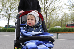 ksv-fitlauf_2016_web_10