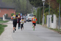 fitlauf_4.2014_046