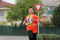 fitlauf_4.2014_050