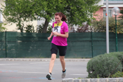 fitlauf_4.2014_069