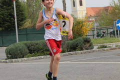 fitlauf_4.2014_085