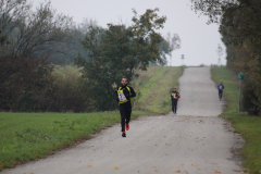 ksv-fitlauf_20141026_web_22